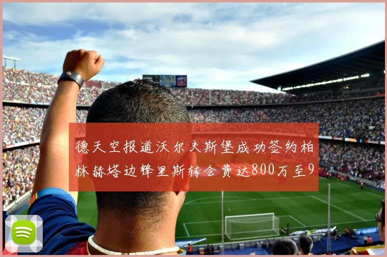 德天空报道沃尔夫斯堡成功签约柏林赫塔边锋里斯转会费达800万至900万欧元