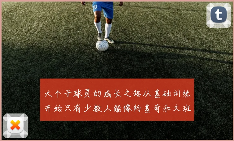 大个子球员的成长之路从基础训练开始只有少数人能像约基奇和文班那样成功