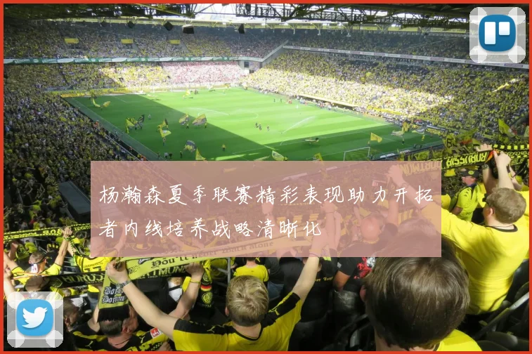 杨瀚森夏季联赛精彩表现助力开拓者内线培养战略清晰化