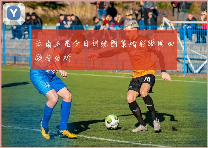 云南玉昆今日训练图集精彩瞬间回顾与分析
